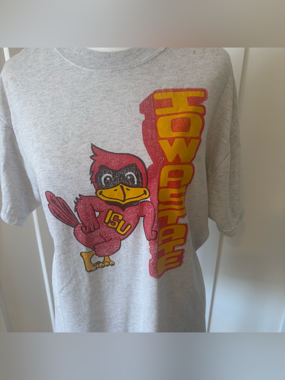 Vintage Iowa State Cyclones Mascot T-Shirt Gray Graphic Tee Adult Medium NCAA